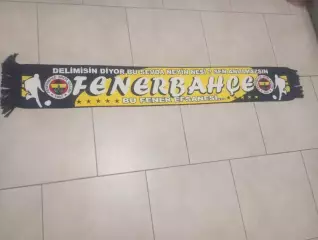 ФК Фенербахче(Турция)