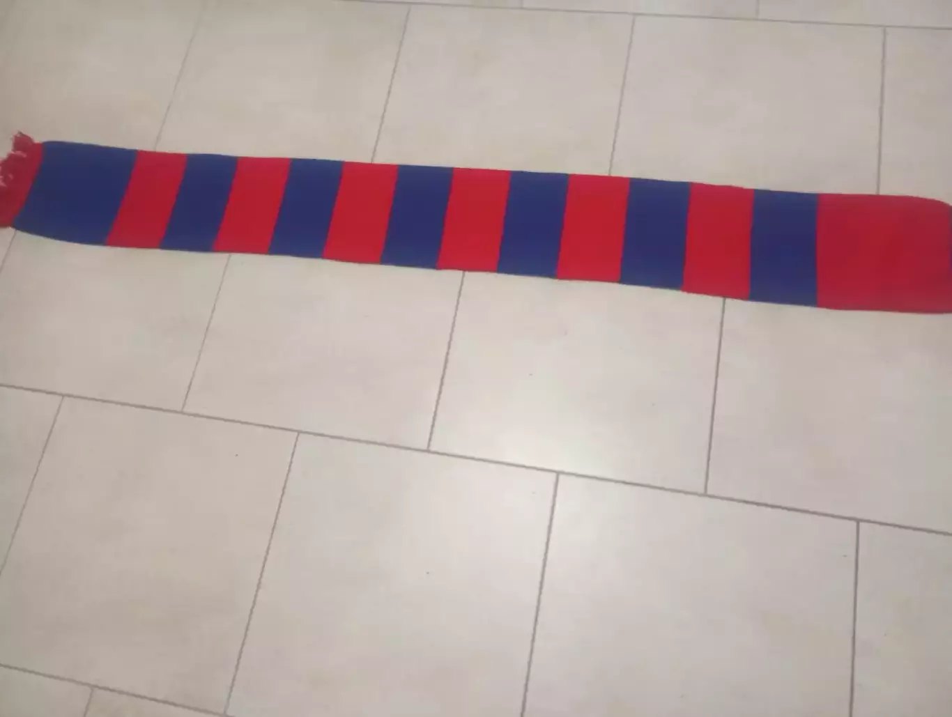 ФК ЦСКА (Москва) фанатский