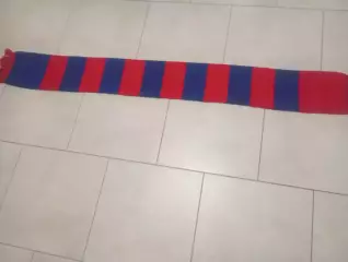 ФК ЦСКА (Москва) фанатский