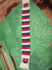 Сборная Словакии