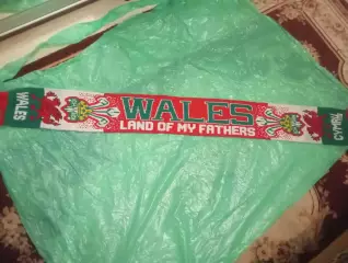 Сборная Уэльса.