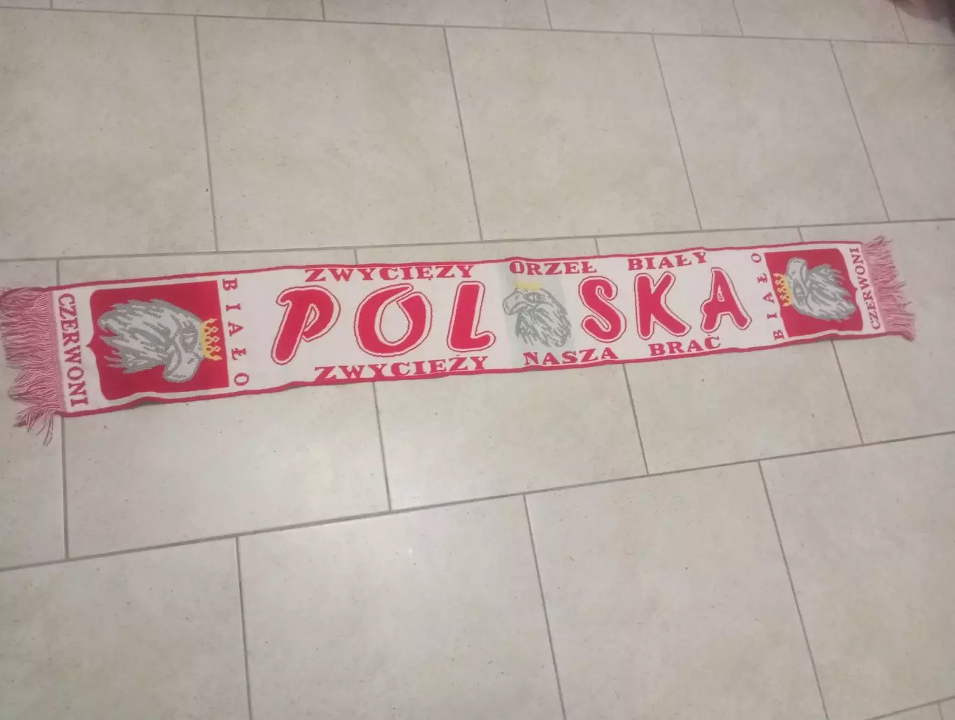 Сборная Польши.