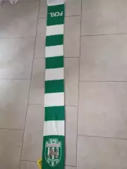 Шарф ФК Карпаты Львов 2010-е годы 2-я модель