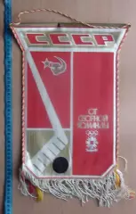 Хоккей. Зимние Олимпийские игры 1984, от хоккейной команды СССР