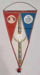 Вымпел Днепр Днепропетровск - Бордо Бордо, Франция 1985