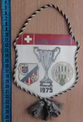 Вымпел Динамо Киев - Ференцварош Будапешт, Венгрия 1975, финал КОК