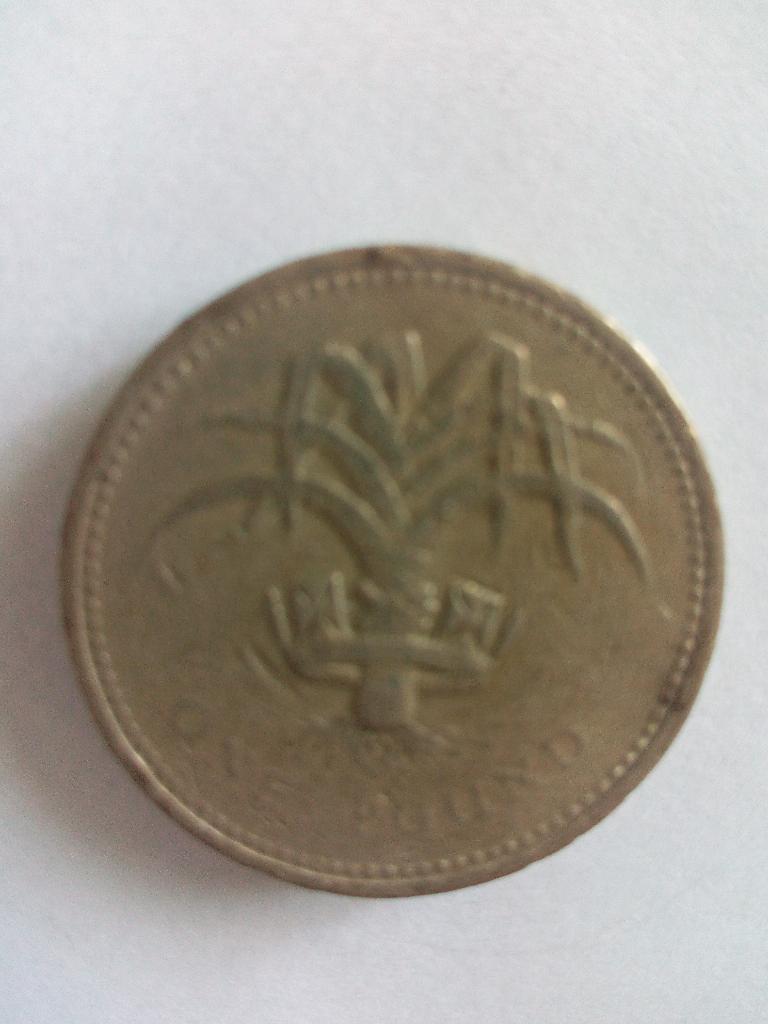 Монета 1 фунт