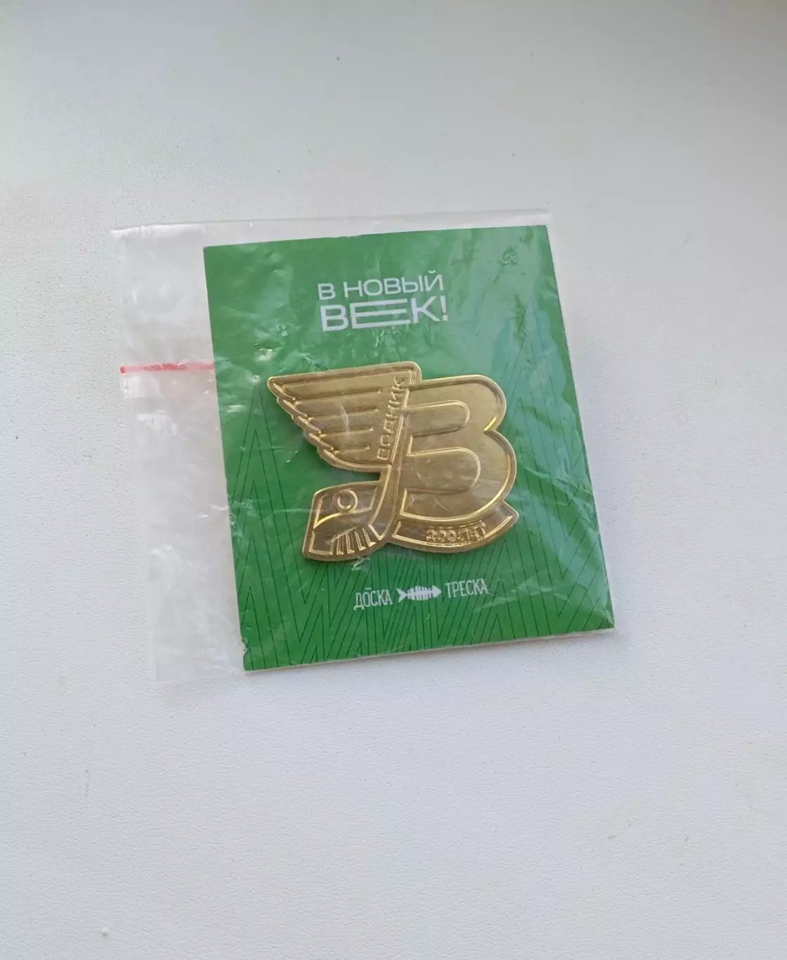 Водник Архангельск, юбилейный, официальный 1