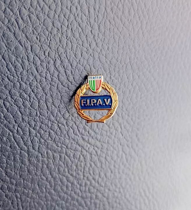 Федерация волейбола Италии, официальный