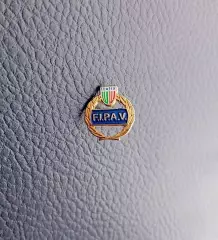 Федерация волейбола Италии, официальный