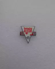 ХК Аллеге (Италия), официальный