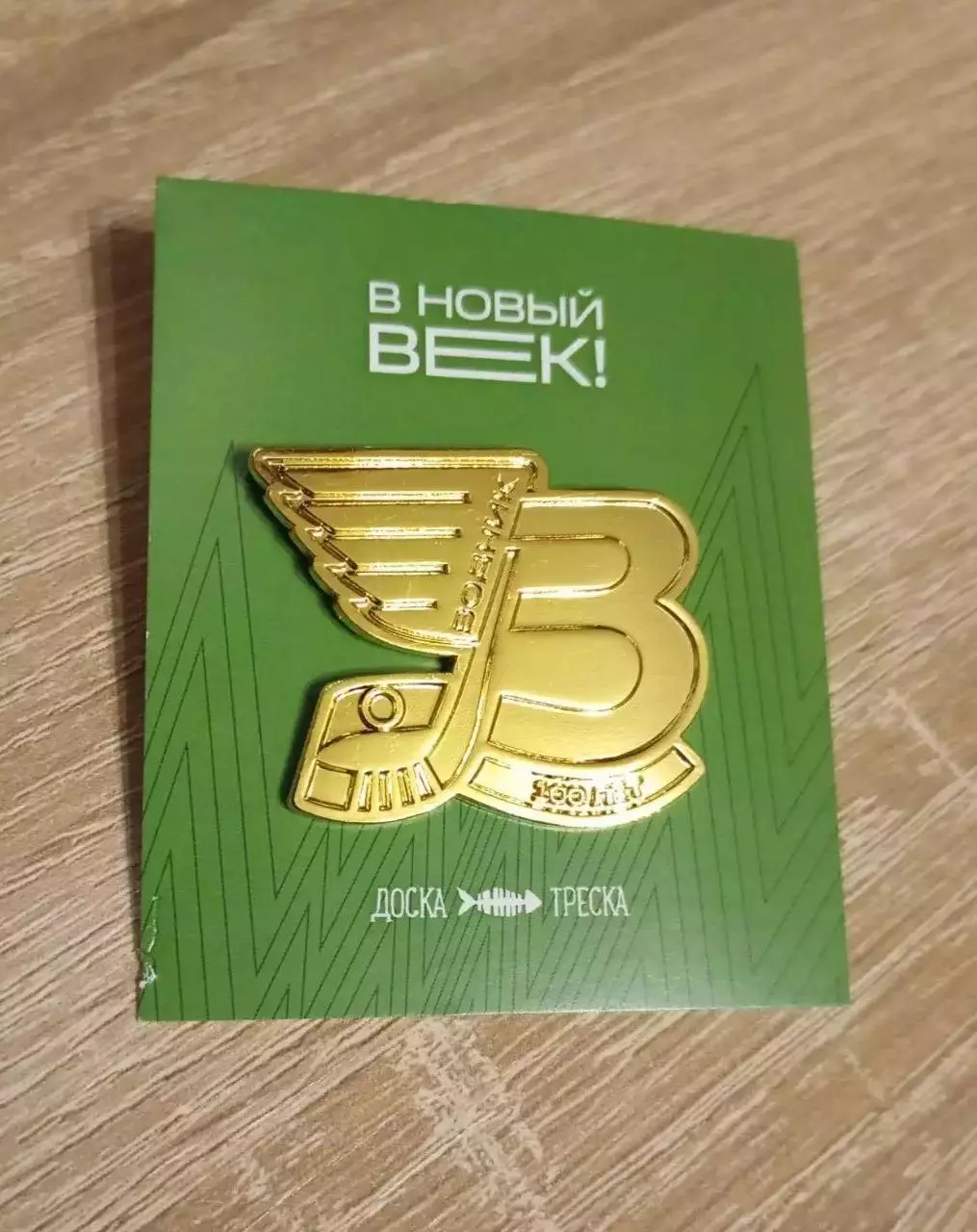 Водник (Архангельск), официальный