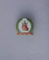 Олфретон Таун (Англия), официальный