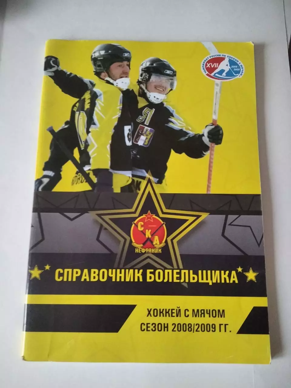 Хабаровск 2008/2009 хоккей с мячом