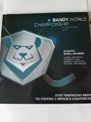 Хоккей с мячом. Чемпионат мира. Хабаровск 30.03.