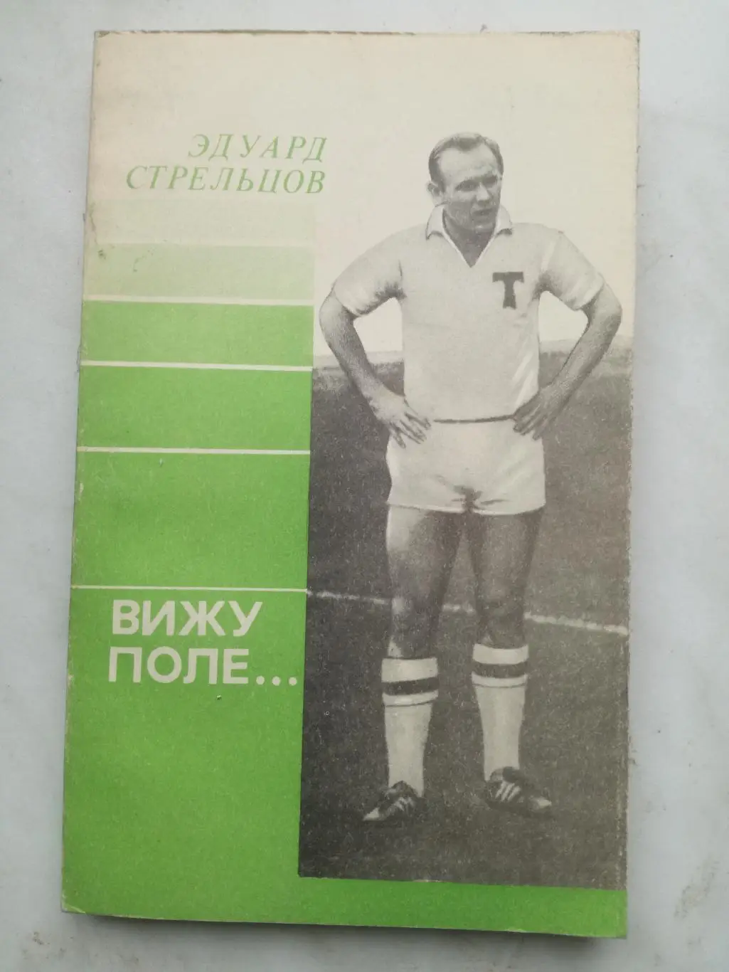 Александр Нилин, Эдуард Стрельцов. Вижу поле, 1991