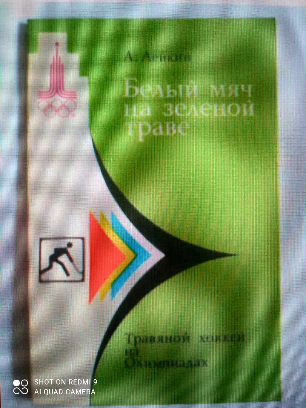 А. Лейкин. Белый мяч на зеленой траве.