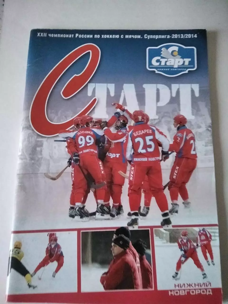 Хоккей с мячом Нижний Новгород 2013/2014