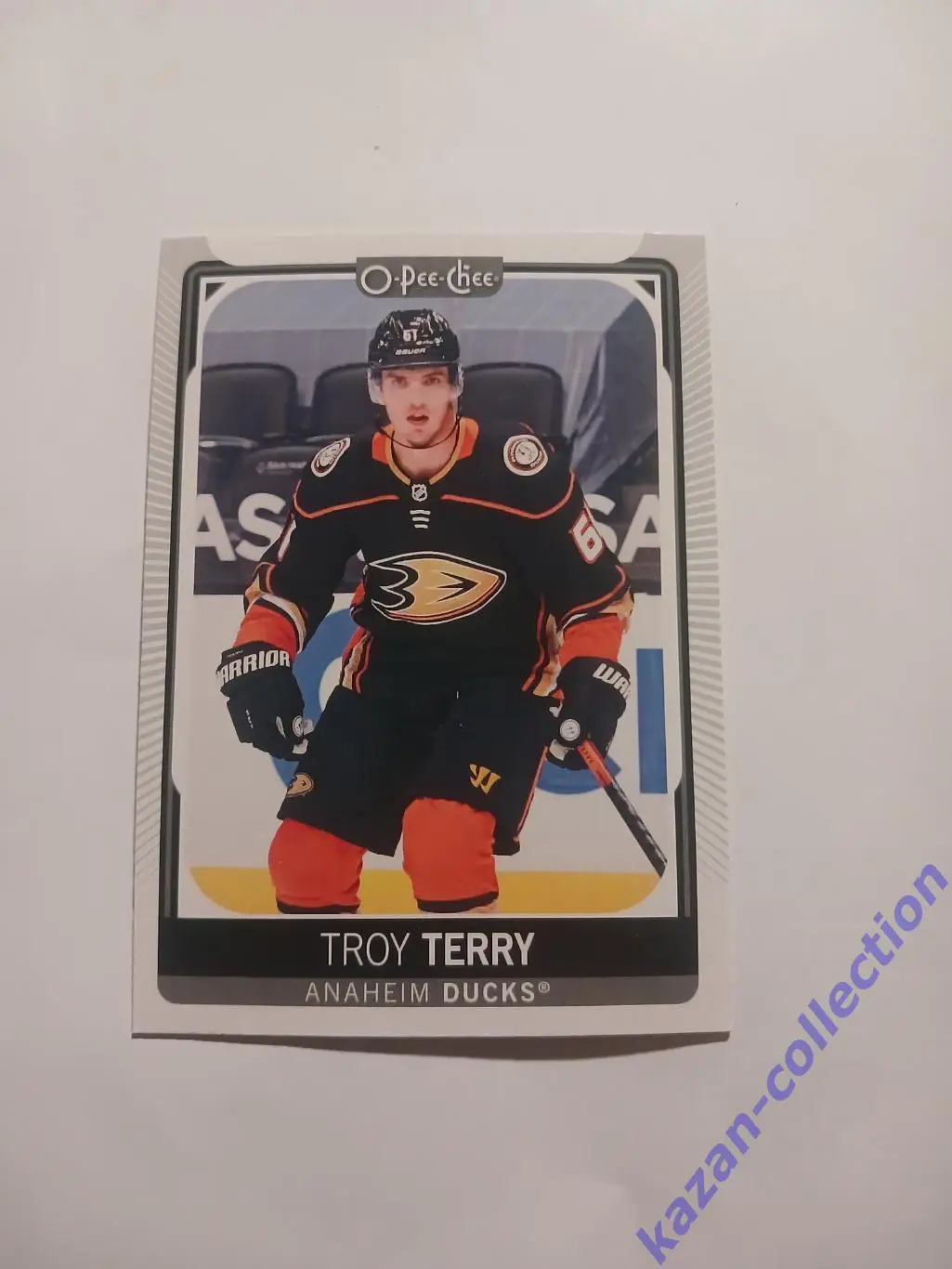 Troy Terry ( Anaheim Ducks )