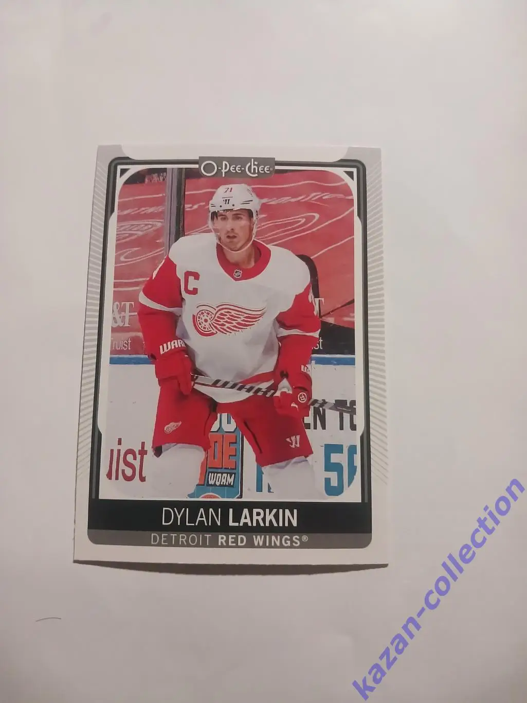 Dylan Larkin ( Detroit Red Wings)