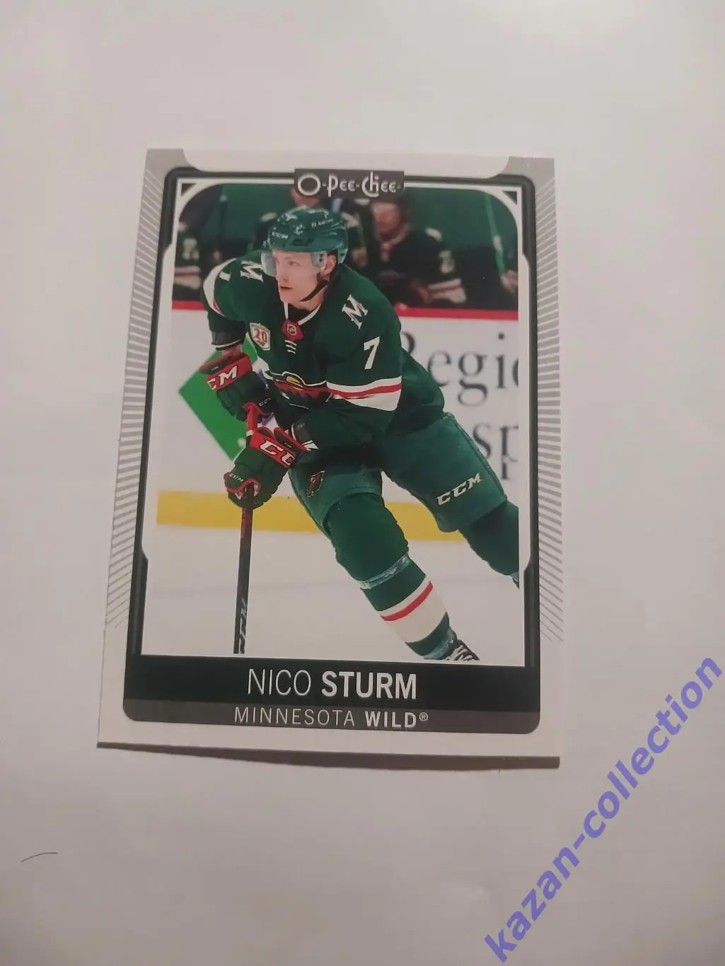 Nicole Sturm ( Minnesota Wild)