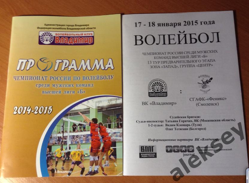 ВК Владимир - СГАФК-Феникс (Смоленск) 17-18 января 2015