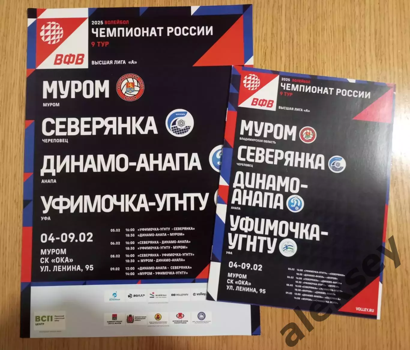 Волейбол. 2025. Муром, Череповец, Уфа, Анапа. Офиц. программа + афиша тура
