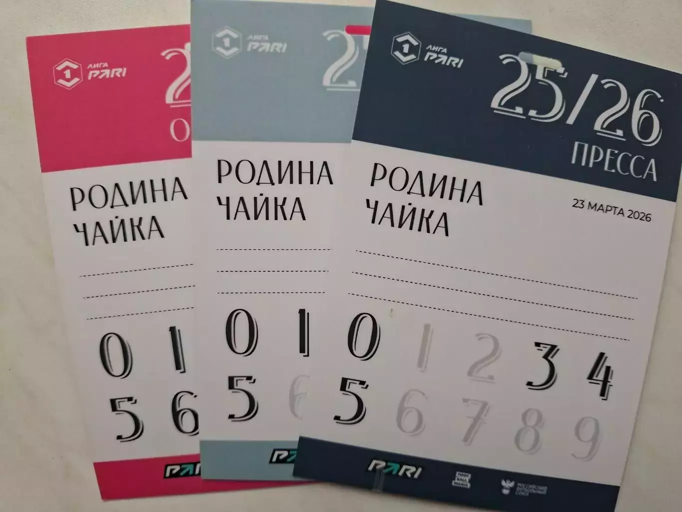 Родина Москва - Чайка Песчанокопское, 23.03.2026, аккредитация