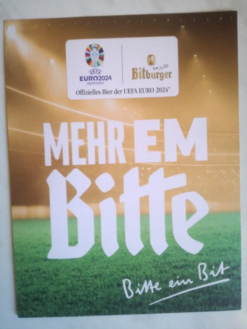 Чемпионат Европы 2024 1