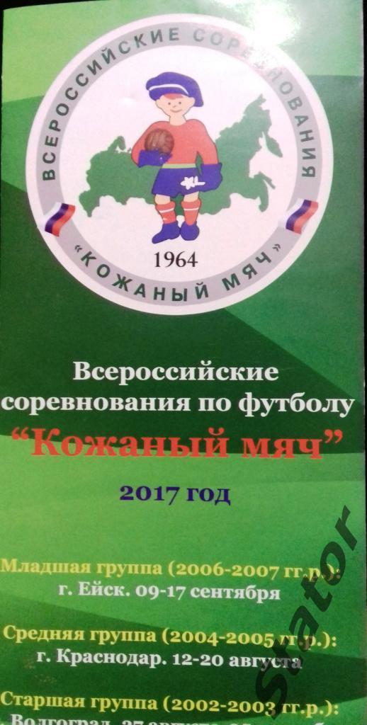 Кожаный мяч 2017