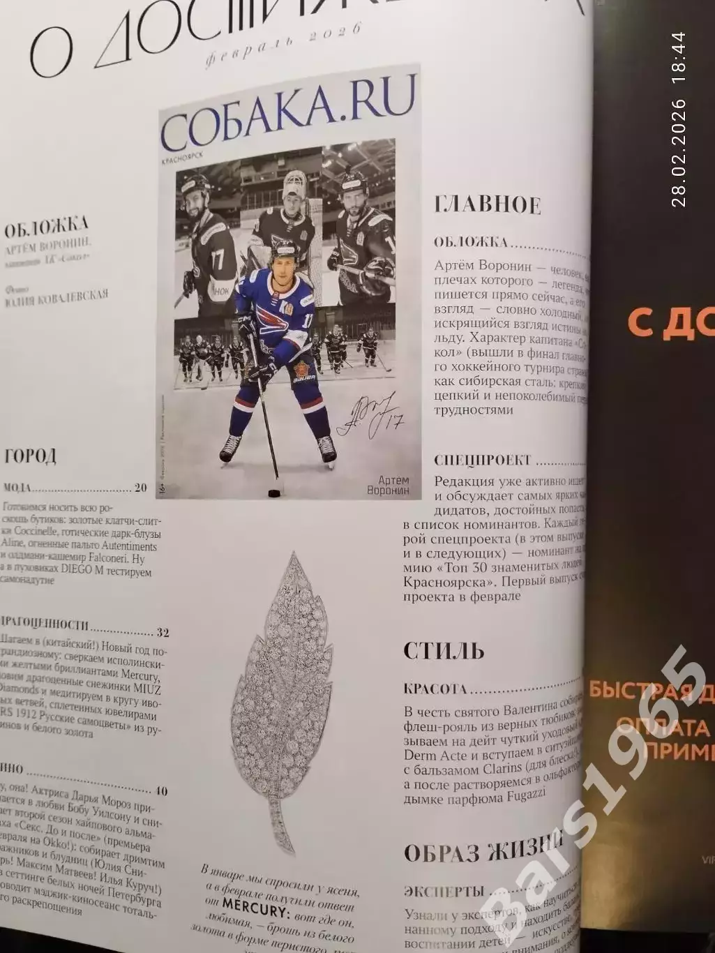 Собака.RU Красноярск февраль 2026 1
