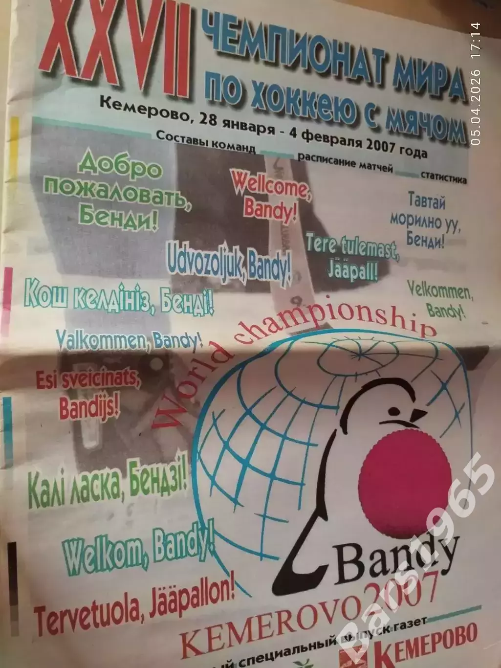 Чемпионат мира по хоккею с мячом 2007 Кемерово