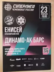 Енисей Красноярск - Динамо-Ак Барс Казань 2026 Женщины