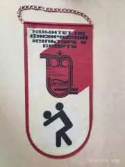 Вымпел Волейбол Красноярск