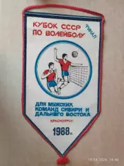 Вымпел Волейбол Красноярск 1988 Кубок СССР Финал