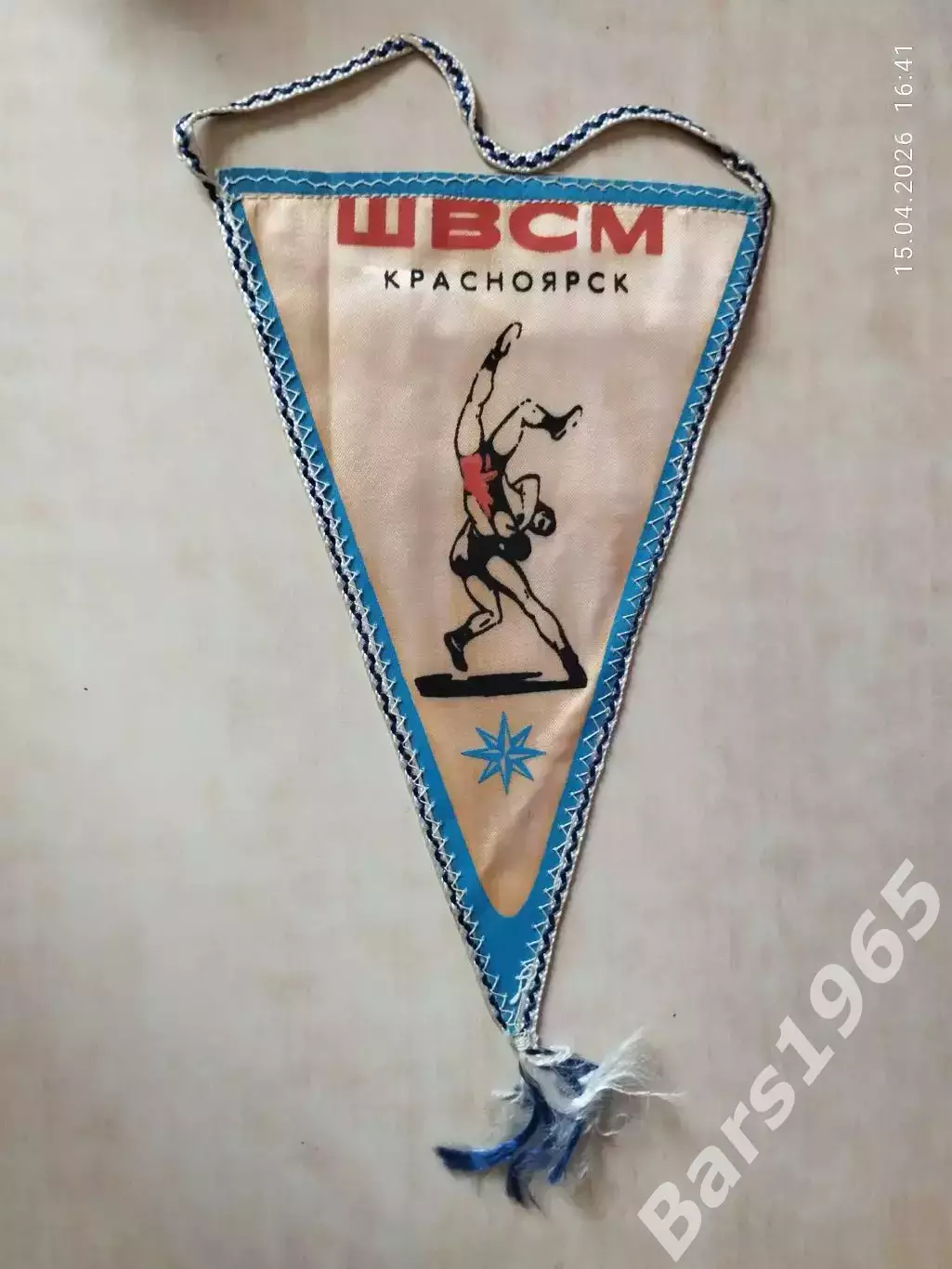 Вымпел ШВСМ Красноярск Вольная борьба