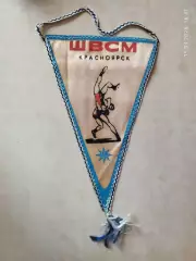 Вымпел ШВСМ Красноярск Вольная борьба
