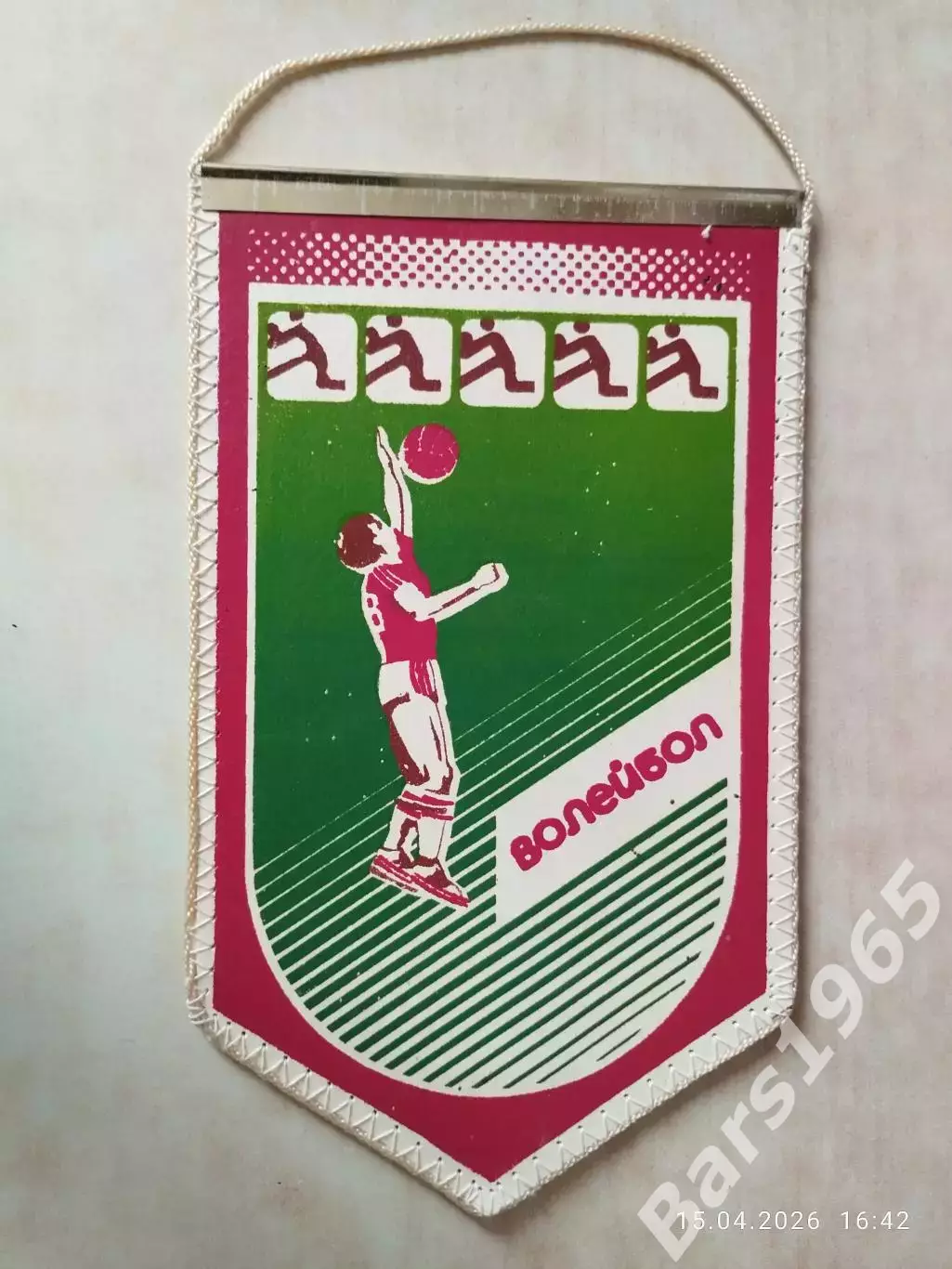 Вымпел Волейбол