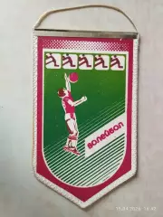 Вымпел Волейбол