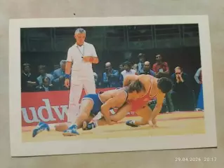 Вольная борьба