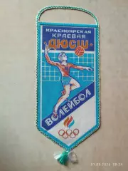 Вымпел Краевая ДЮСШ Волейбол Красноярск