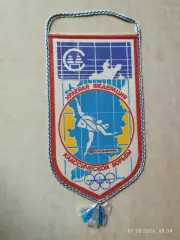 Вымпел Краевая федерация классической борьбы Красноярск