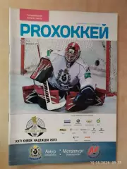 Амур Хабаровск - Металлург Новокузнецк 2013