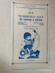 Торпедо Сосновоборск - Полет Омск 1991 Хоккей с мячом
