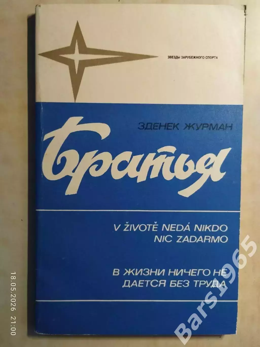Братья Иржи и Ярослав Холики