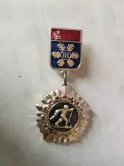 Значок-медалька Зимняя Спартакиада народов СССР 1974 Лыжи