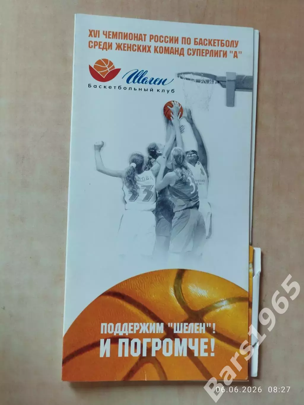 Шелен Красноярск - Динамо Московская область 2007 + билет Женщины