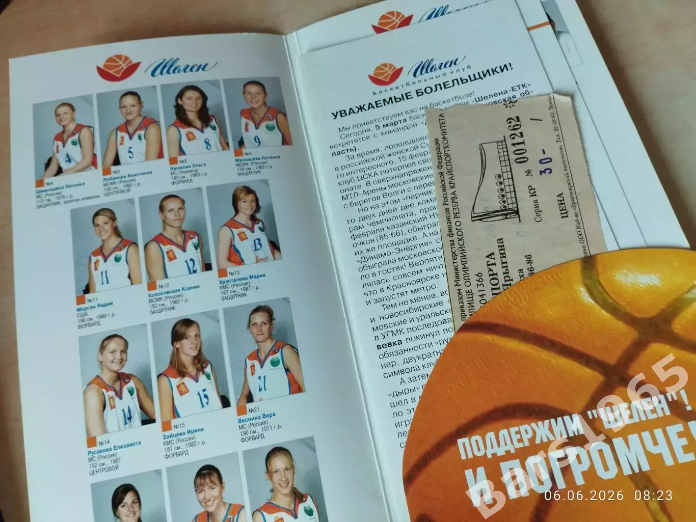 Шелен Красноярск - Динамо Московская область 2007 + билет Женщины 1