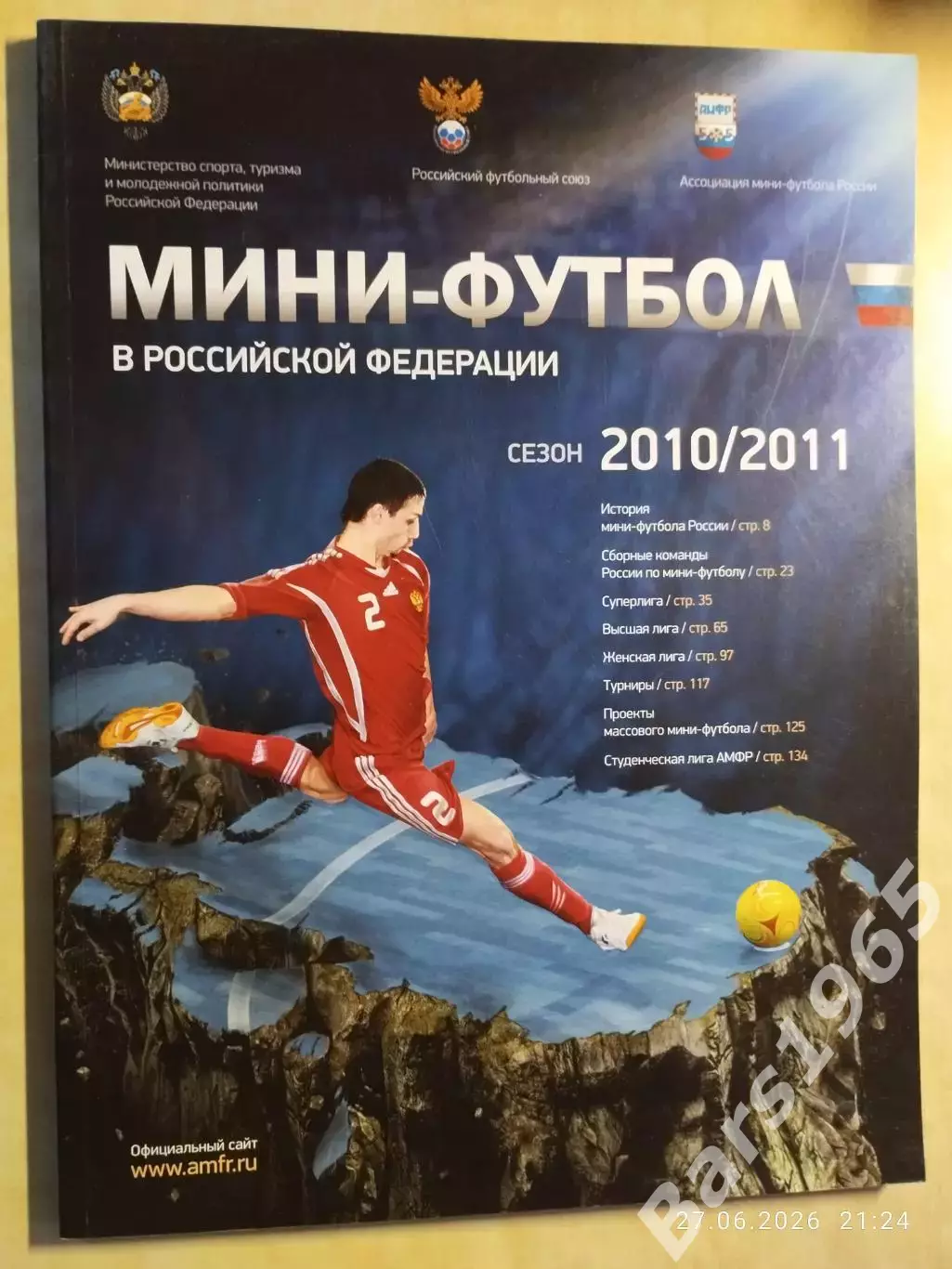 Мини-футбол в Российской Федерации Сезон 2010-2011