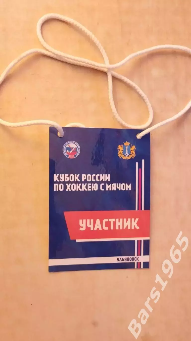 Кубок России по хоккею с мячом Ульяновск Аккредитация